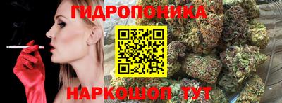 эйфоретик Заводоуковск